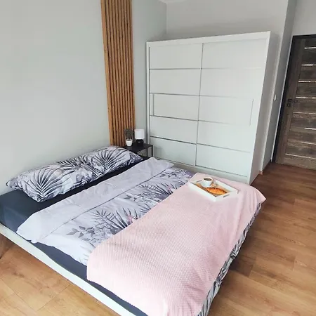 Przy Parku Slaskim Apartment