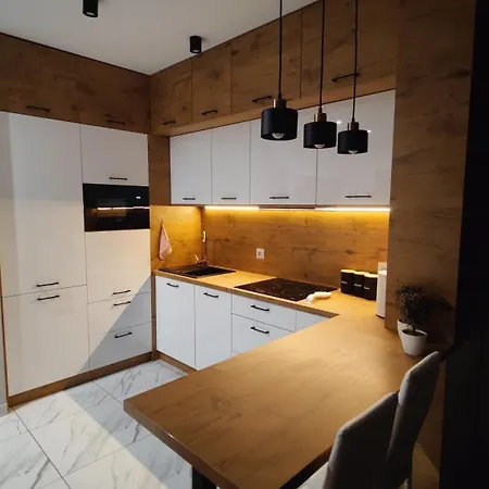 Przy Parku Slaskim Apartment *
